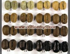 精品咖啡豆常識 咖啡豆爲什麼會出油？