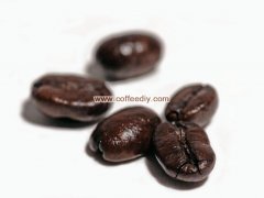 咖啡豆烘焙知識 出油的咖啡豆好嗎？