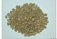 烘焙過程 烘焙哥倫比亞頂級綠寶石咖啡豆