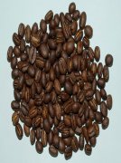 咖啡豆烘焙知識 烘焙剛果幾布湖地區PB