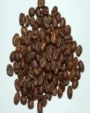 咖啡豆烘焙知識 烘焙坦桑尼亞露布AAA