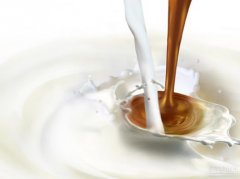 咖啡與牛奶 咖啡伴侶的牛奶的種類分析