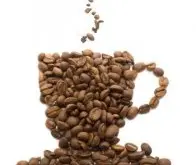 老撾品質咖啡種植園 DAO HEUANG