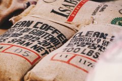 小粒咖啡栽培技術 咖啡種植的土壤管理