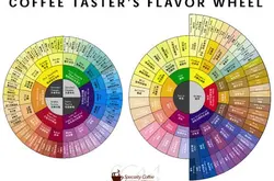 SCAA的咖啡風味輪Coffee Taster's Flavor Wheel