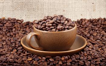 手工沖泡咖啡醇厚度不足是什麼原因