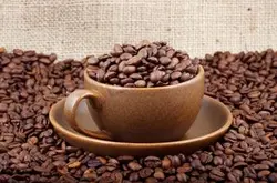 手工沖泡咖啡醇厚度不足是什麼原因