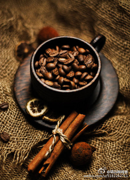 花式咖啡配方製作方法 肉桂咖啡