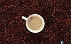 咖啡豆中的無限世界 高地咖啡就是高人一等