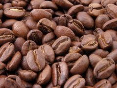 北蘇門答臘精品曼特寧咖啡豆