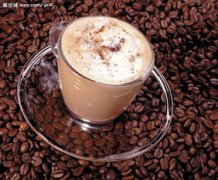 咖啡小知識 每天一杯現煮咖啡有效護肝