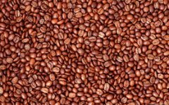 精品咖啡豆知識 亞洲主要咖啡豆產區