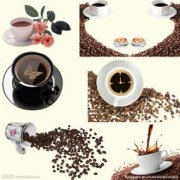 咖啡基礎常識 咖啡每天喝多少比較好
