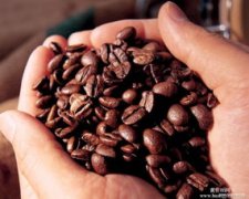 如何鑑賞精品咖啡豆 咖啡豆的鑑賞方法