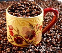 琥爵咖啡在中國的發展階段