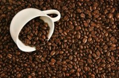 如何鑑別咖啡豆的好壞 挑選好咖啡豆的技巧