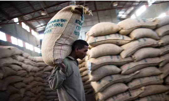 非洲咖啡豆產國 爲什麼很少聽到非洲喝咖啡