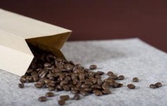 精品咖啡豆種類介紹 象豆