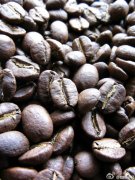 世界各地咖啡豆的種類 精品咖啡常識