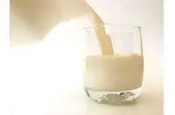 什麼樣的奶製品可以和咖啡搭配