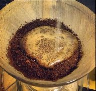精品咖啡學 咖啡的咖啡花基礎知識