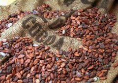 低咖啡因咖啡豆的加工處理方法 Decaffein