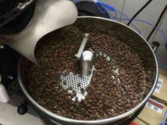 咖啡豆烘焙軟件 Artisan (記錄烘焙曲線)
