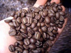 手網炒豆技術 自制手網直火烘焙咖啡豆