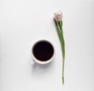 乾燥 Geisha 果實咖啡因濃度最高