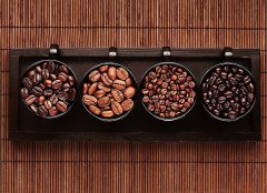 咖啡的傳承 精品咖啡基礎常識