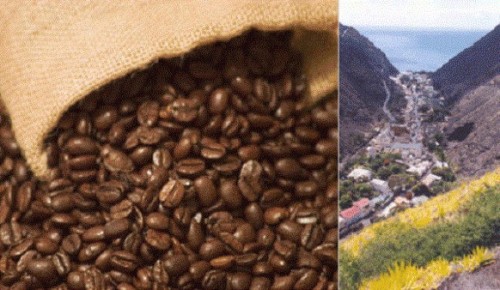 如何判定咖啡豆的新鮮度？