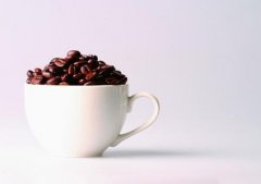 咖啡常識 在世界咖啡領域聲名遠揚的小白咖啡