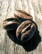喝咖啡講究必須從生咖啡豆開始