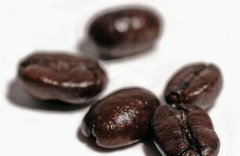 咖啡的枝條按其着生部位及生長方向分爲下列幾類