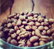 種植咖啡樹的生長過程  咖啡基礎常識
