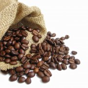 精品咖啡學咖啡基礎常識 介紹咖啡果