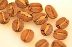 咖啡豆產國 委內瑞拉產地咖啡