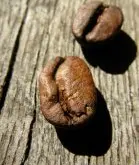 藍山咖啡的種類 咖啡豆基礎常識