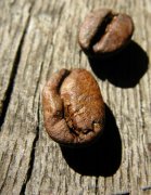 COSTA雨林認證咖啡豆製作分享文章
