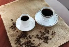 花式咖啡常識 52款特色熱咖啡製作配方
