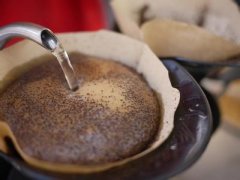 烘烤咖啡豆 家庭烤箱烘焙咖啡豆的技術