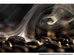 原始咖啡豆的平均化學組分如下