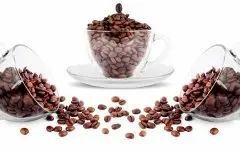 世界上種植最廣泛的咖啡主要有兩種