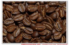 新喀里多尼亞島庫安基農園雷洛伊咖啡豆
