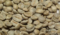 微距下的咖啡豆 黃波本咖啡豆
