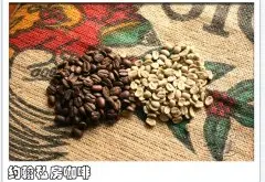巴布亞新幾內亞 Sigri天堂鳥咖啡豆