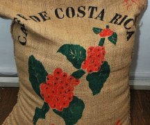 哥斯達黎加拉米妮塔咖啡豆