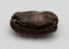 咖啡豆 望聞問切選購優質咖啡豆之切篇