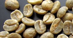 知名咖啡生豆介紹 哥倫比亞咖啡生豆