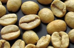 知名咖啡生豆介紹 巴西咖啡生豆